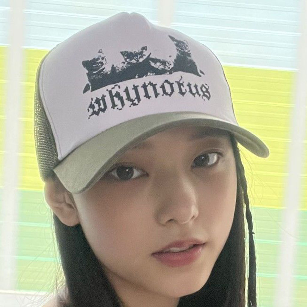 图片8缩略图